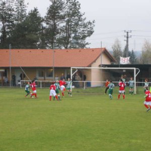 Damen2013